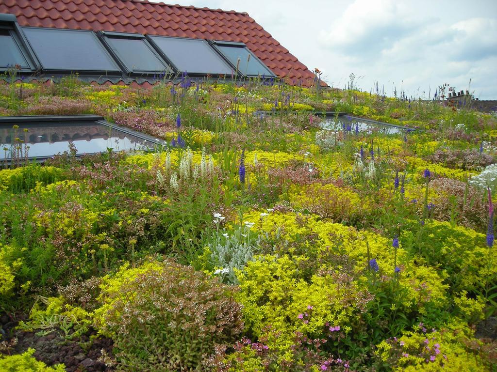 Fleur De Ciel Villa Loos-en-Gohelle Ngoại thất bức ảnh